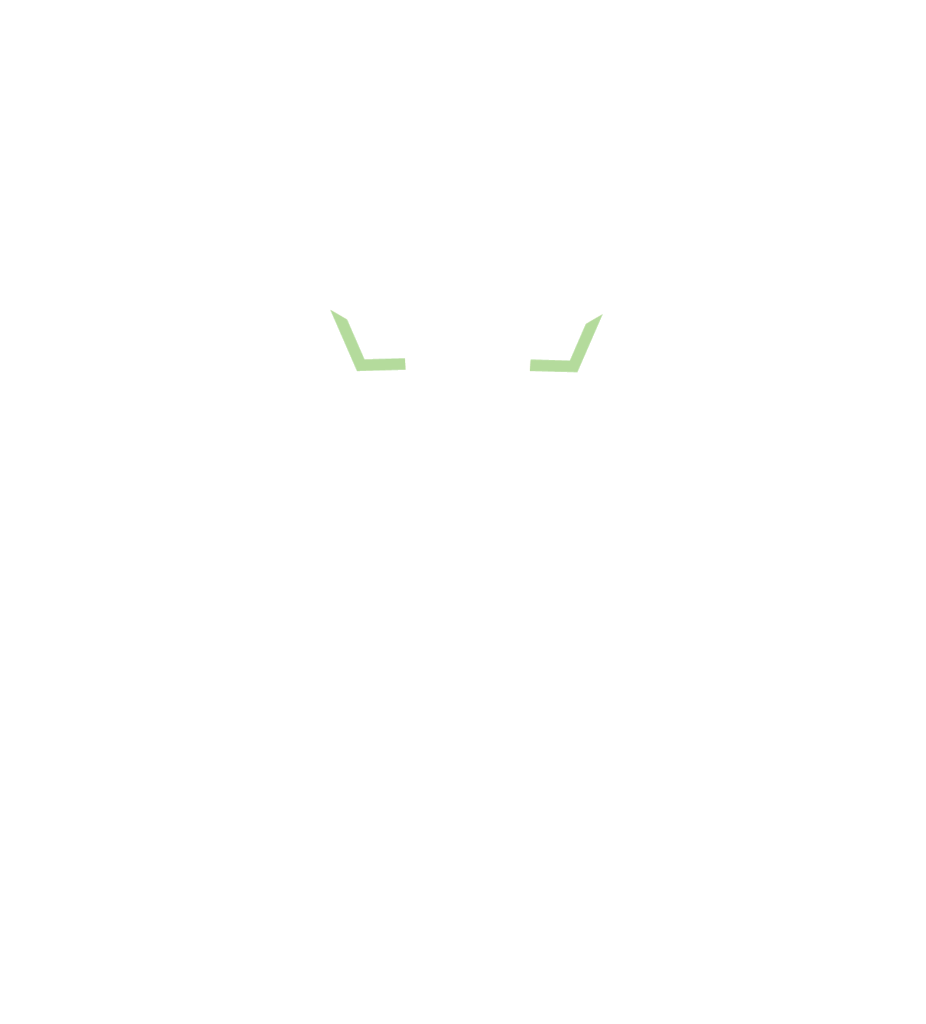 mBiznes